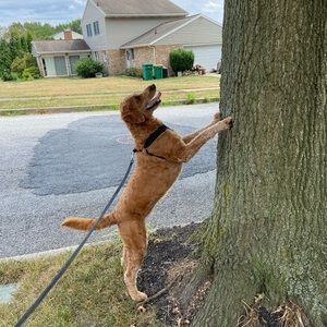 Meet your Posher, Katelyn